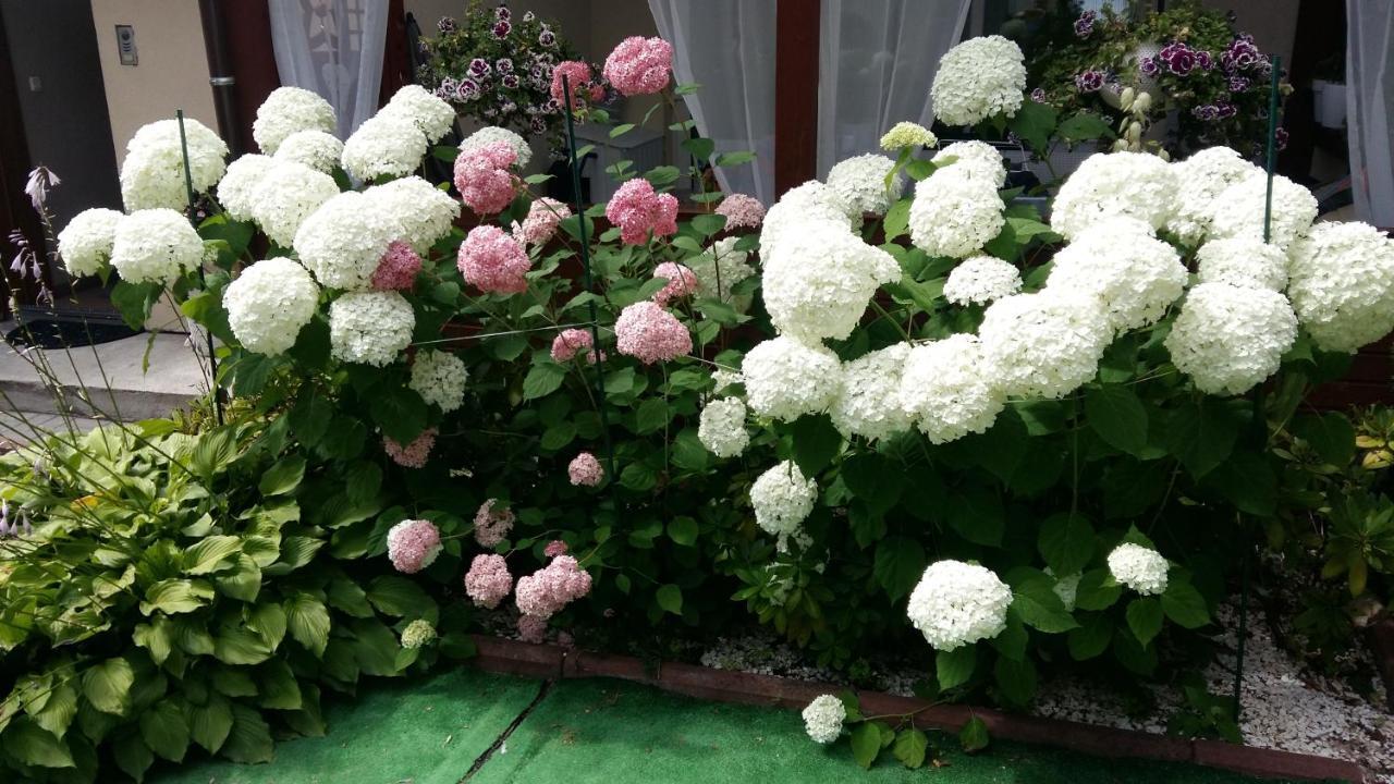 Miedzyzdroje Noclegi 외부 사진